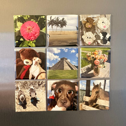 Set of 9 Photo Magnets